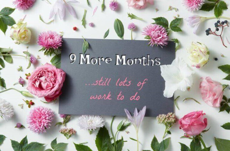 Nine Months Before The Date Nine Months Before The Date