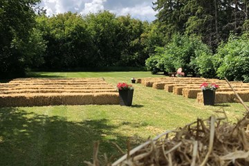 Photo 2019-06-29, 12 31 37 PM.jpg Photo 2019-06-29, 12 31 37 PM.jpg